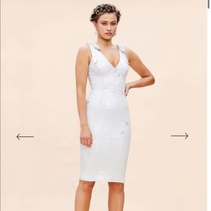 Dress the Population Mary Dress